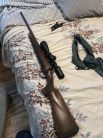 IMG_5640.jpeg
