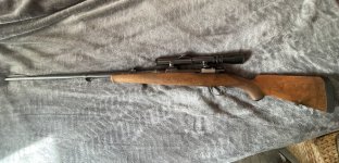 IMG_0561.jpeg IMG_0561.jpeg
