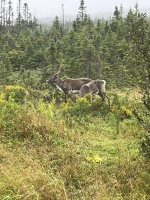 IMG_1747.jpeg