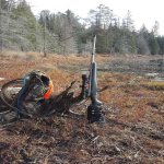 20161117_114832.jpg 20161117_114832.jpg