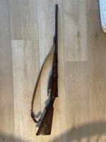 IMG_5298.jpeg
