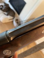 IMG_5302.jpeg