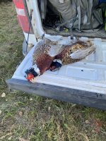 IMG_7889.jpeg