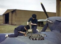 wrens-arming-hurricane-at-rnas-yeovilton-a99bc5-640.jpg
