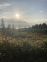 IMG_4333.jpeg