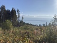 IMG_4334.jpeg