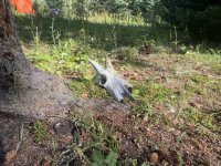 IMG_7711.jpeg
