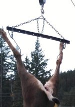 hoist.jpg