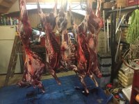 IMG_0371.jpeg