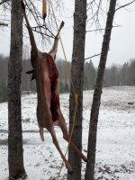 HUNT 2020_10.jpg