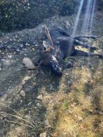 IMG_6204.jpeg