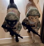 IMG_3595.jpeg