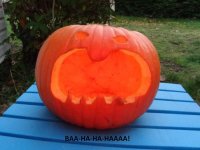 Jack O Laugh.jpg