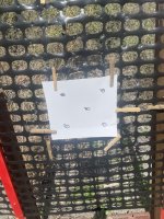 IMG_2325.jpeg