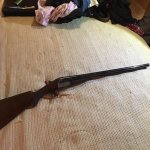 English Shotgun.jpg