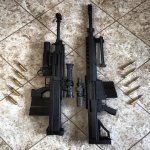 Lynx&Serbu 1.jpg