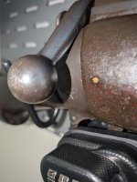 PXL_20261001_174315013.MACRO_FOCUS.jpg