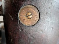 PXL_20261001_174951386.MACRO_FOCUS.jpg