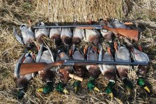 DSC_0010.JPG DSC_0010.JPG
