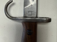 IMG_3215.jpeg