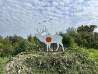 IMG_8253.jpeg