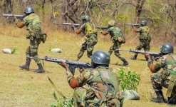 Rifle FN FAL Malawi.jpeg