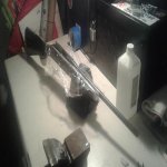 20170201_145153.jpg