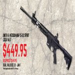 M&P-15-22.jpg