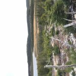 BEDF147A-ECEF-4440-A4C7-88690AA634DD.jpg BEDF147A-ECEF-4440-A4C7-88690AA634DD.jpg