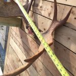 B06DC979-7001-4623-9529-E2495CB8CDBB.jpg B06DC979-7001-4623-9529-E2495CB8CDBB.jpg