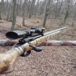 20151105_154205_1.jpg 20151105_154205_1.jpg