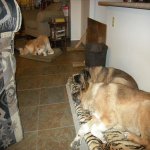 DSCN5263.jpg