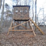 Deer Stand 1.jpg