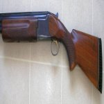 GUN.JPG