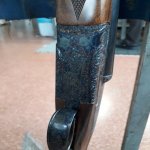 grulla162.jpg