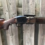 3A350B50-CF63-48F7-B26E-5D4B88D893D1.jpg 3A350B50-CF63-48F7-B26E-5D4B88D893D1.jpg