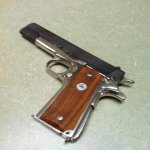 Colt NN 01 1024768.jpg