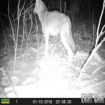 HUNT0016.jpg
