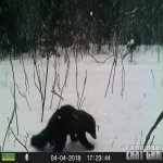 HUNT00281.jpg
