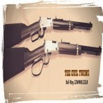 EvilRoy 22WMR-22LR.jpg