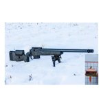 IA with target larger.jpg