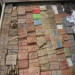 GARY (8).jpg GARY (8).jpg