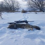 20180201_090419.jpg 20180201_090419.jpg