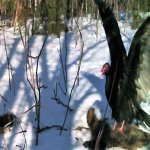 HUNT0382.jpg