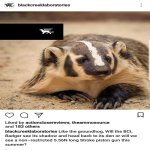 Screenshot_20180422-184826_Instagram.jpg