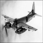 hornet.jpg