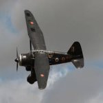 lysander.jpg