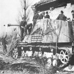 nashorn.jpg