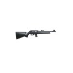 CZ02260.jpg