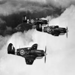 p40.jpg